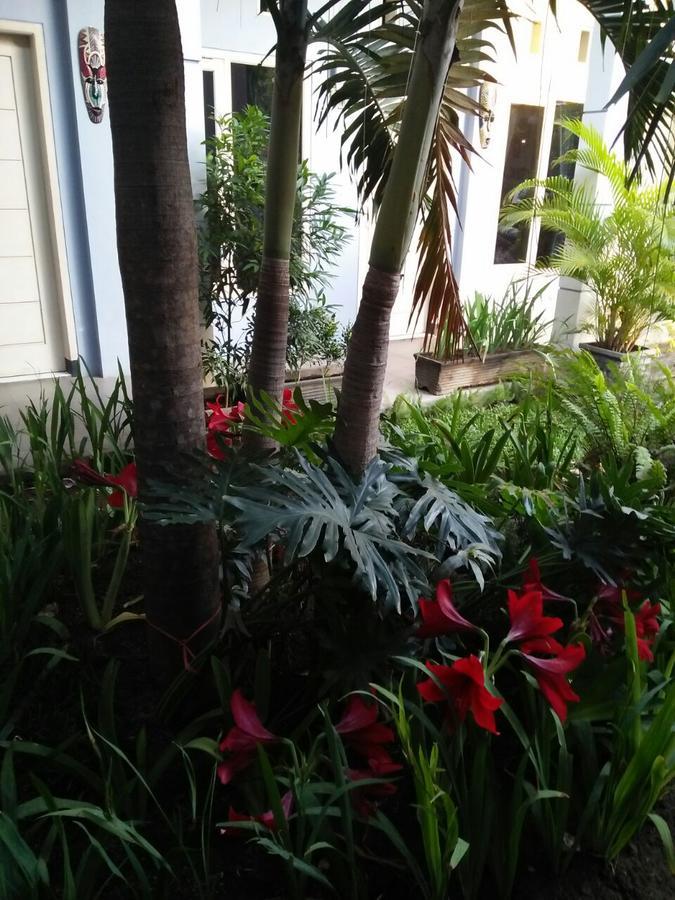 Clover Homestay Probolinggo Exterior photo